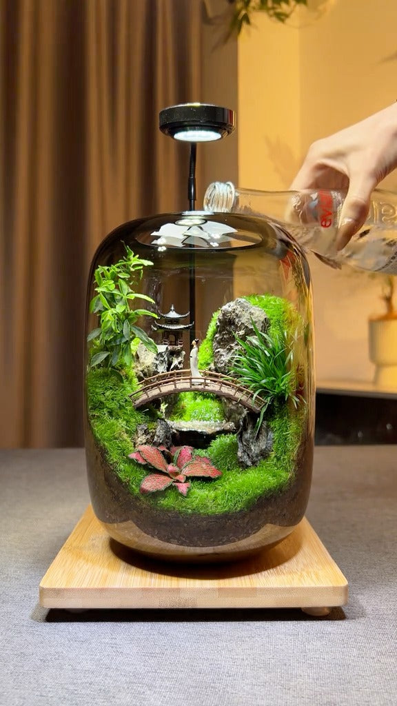 Mini Terrarium Aquarium